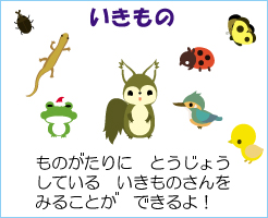 いきものコーナー