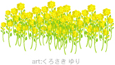 おはな18（菜の花）